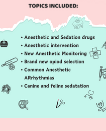 VET Anesthesia and Sedation|10 Pages| 6 Topics