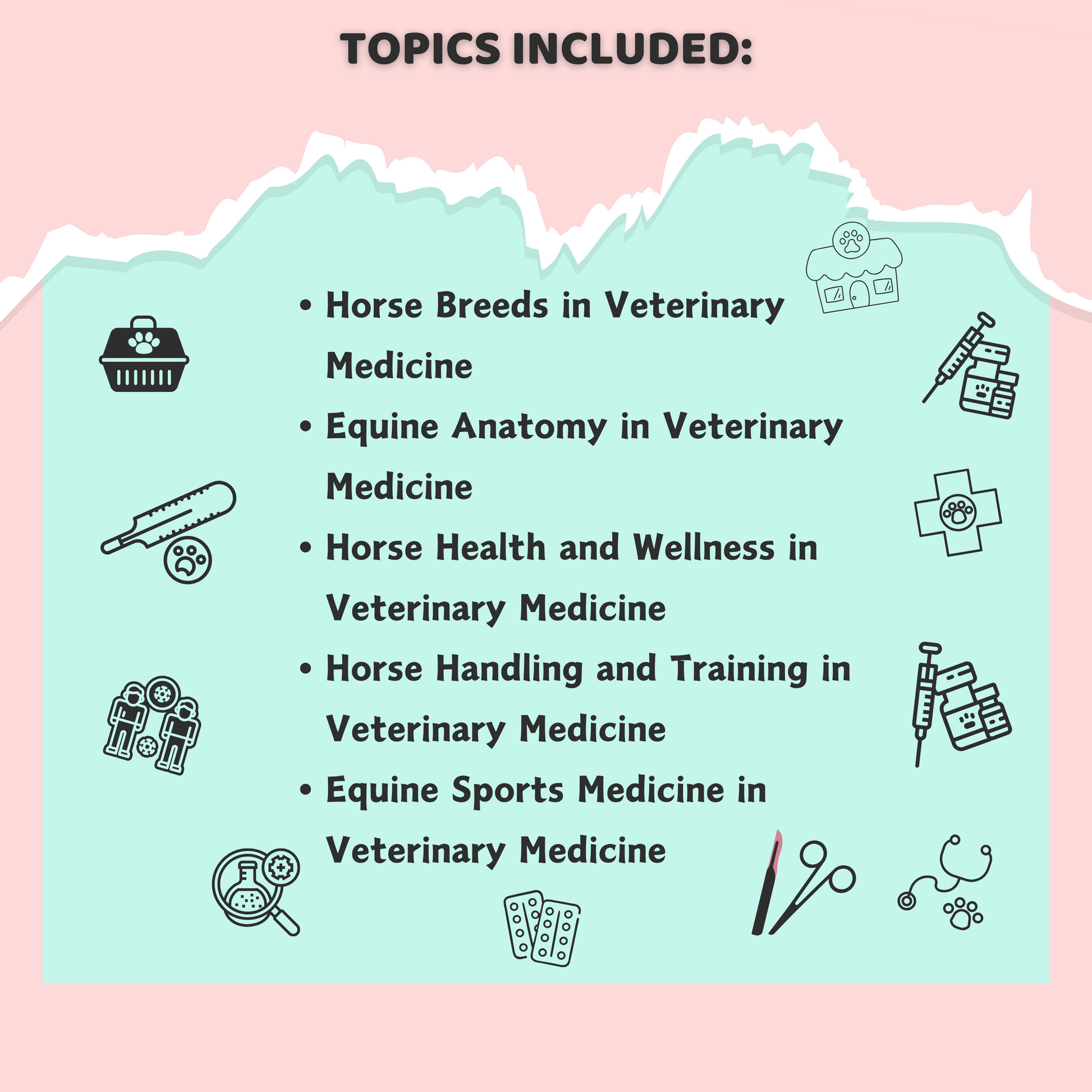 VET Equine | 36 Pages| 9 topics