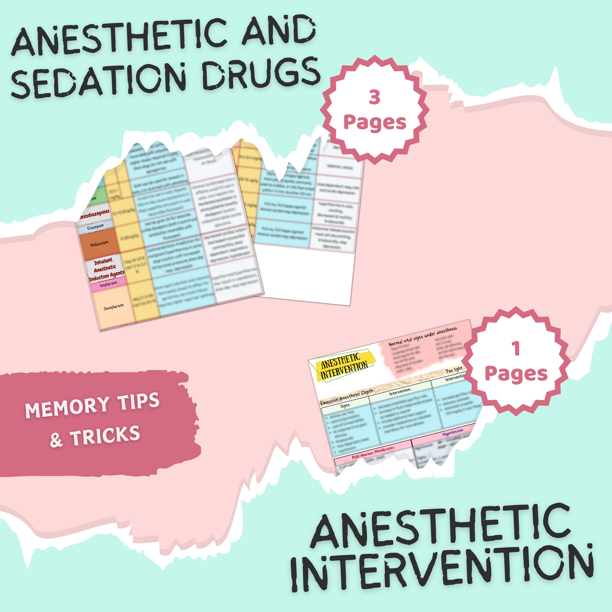 VET Anesthesia and Sedation|10 Pages| 6 Topics