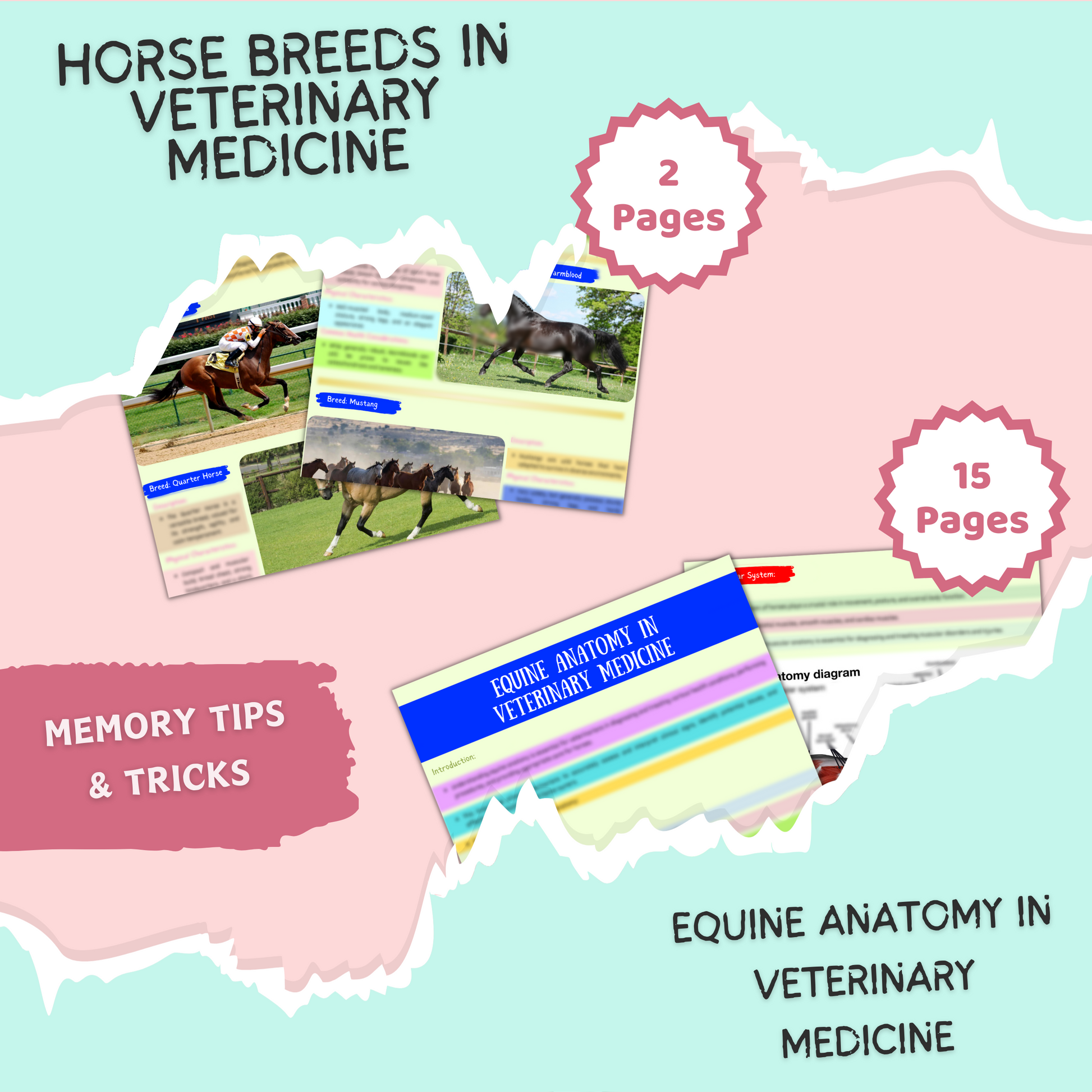 VET Equine | 36 Pages| 9 topics