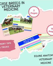 VET Equine | 36 Pages| 9 topics