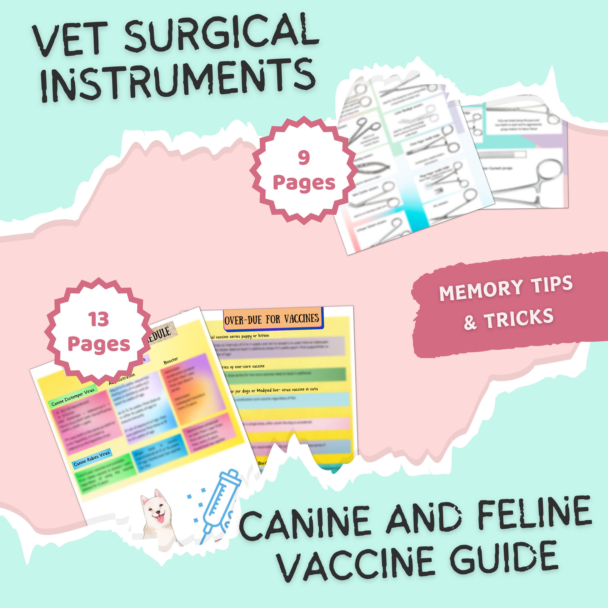 Fundamentals of VET  | 70 Pages | 8 Topics