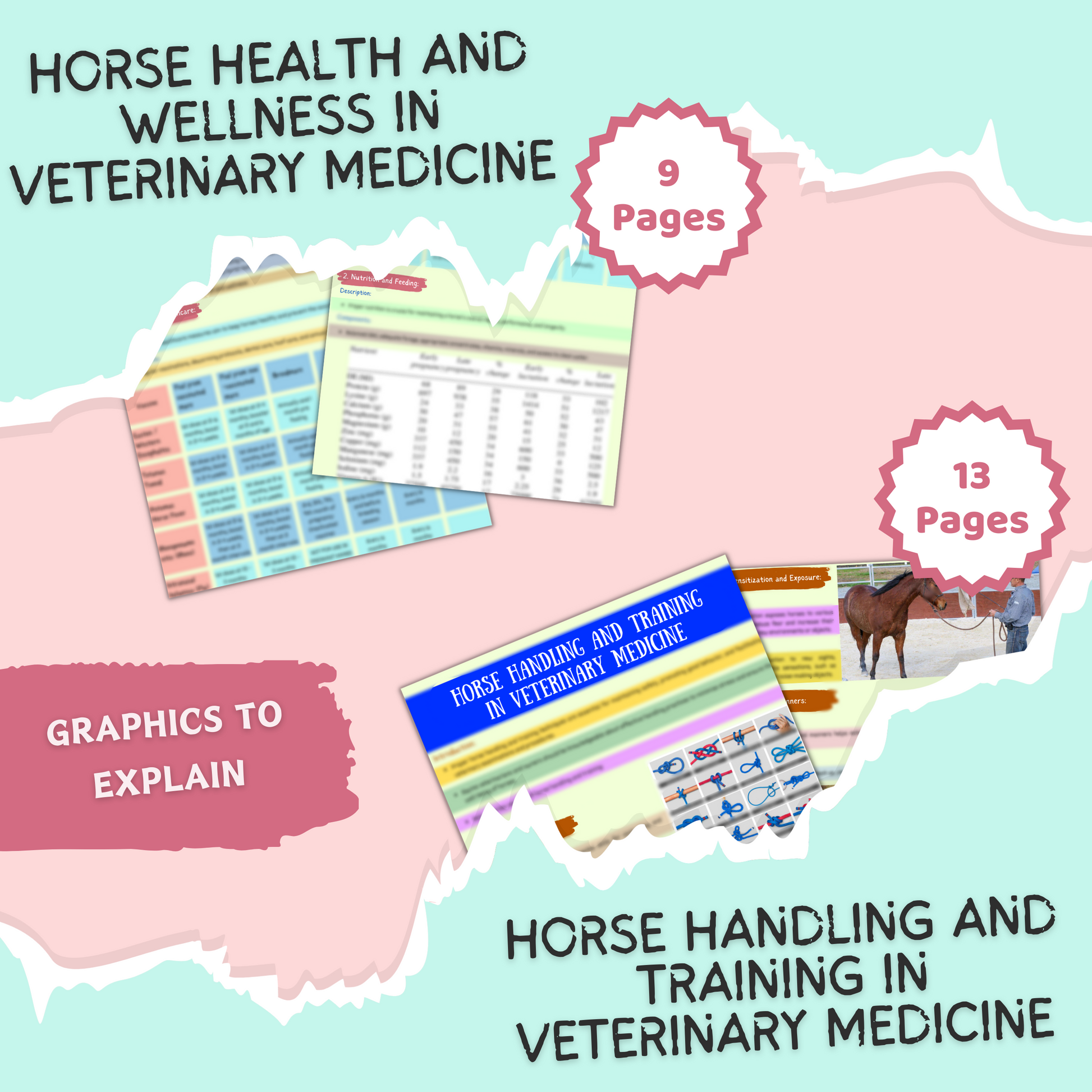 VET Equine | 36 Pages| 9 topics