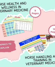 VET Equine | 36 Pages| 9 topics