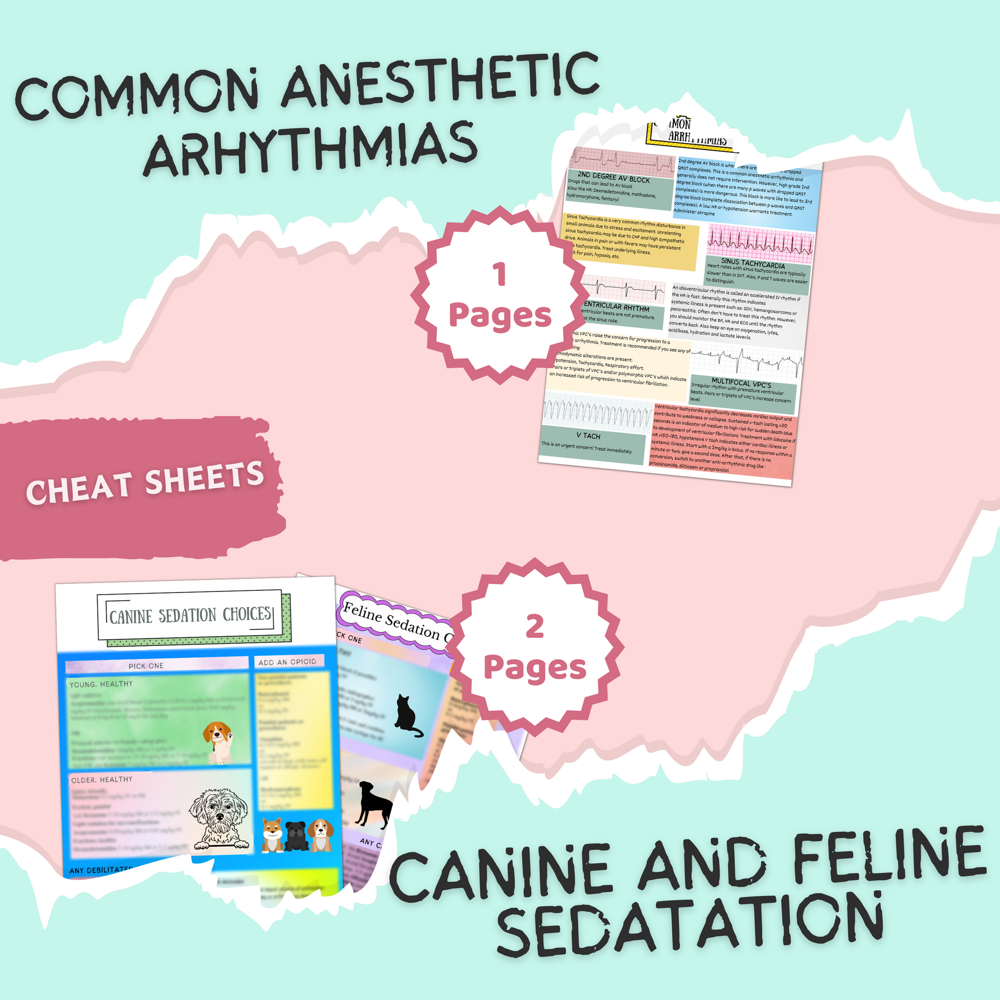 VET Anesthesia and Sedation|10 Pages| 6 Topics