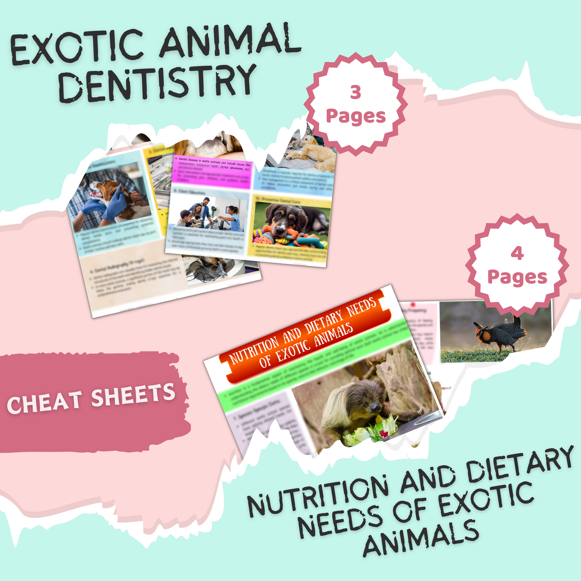 Exotic Animals & Birds | 48 Pages| 7 Topics