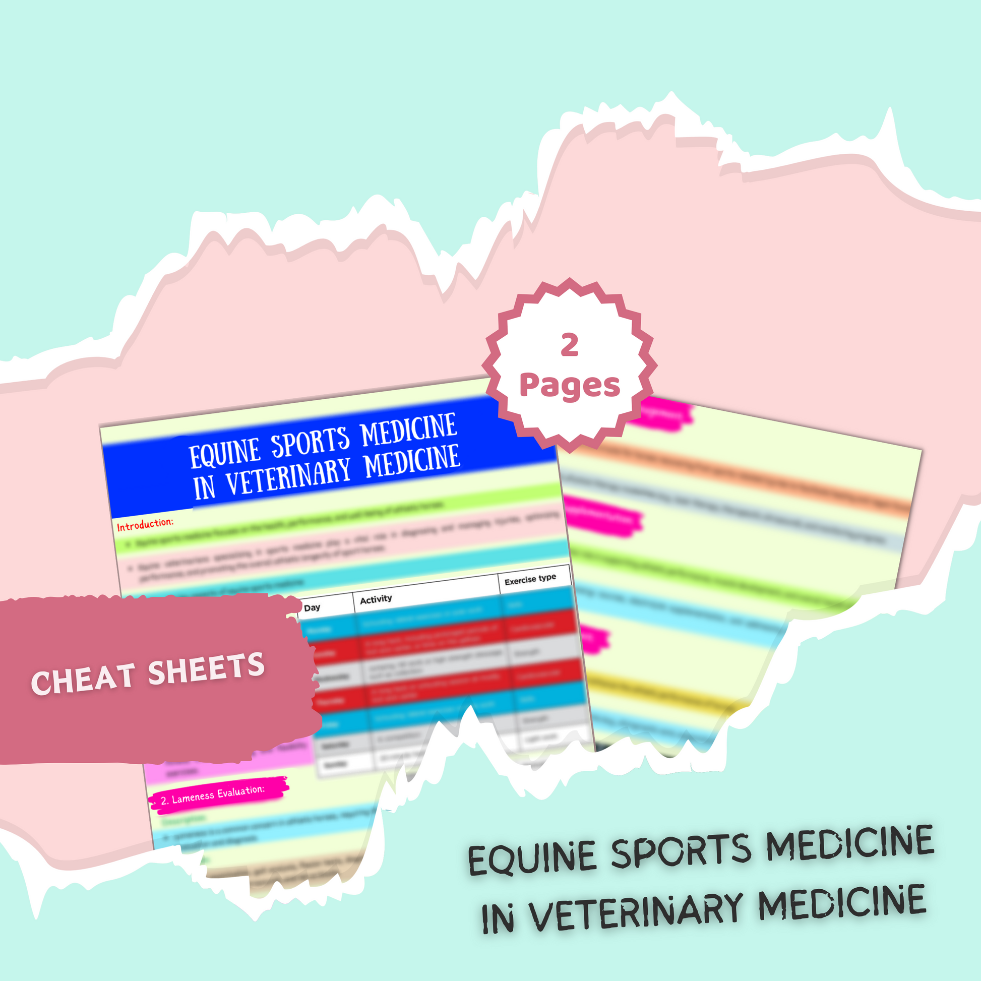 VET Equine | 36 Pages| 9 topics