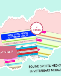 VET Equine | 36 Pages| 9 topics