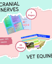 Fundamentals of VET  | 70 Pages | 8 Topics